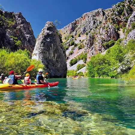 Dule פאקוסטאן