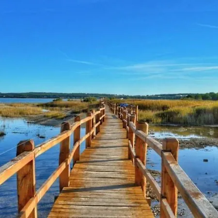 Villa Dule Pakoštane